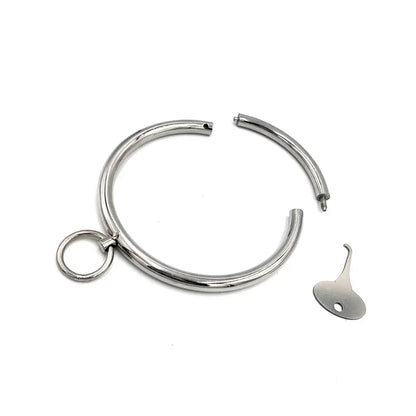 Stainless Steel Lockable Neck Collar